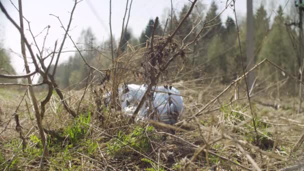 森の中に横たわっている突き出たバッグ — ストック動画