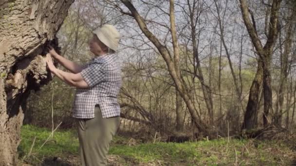 Oudere vrouw strelen een grote boom. — Stockvideo