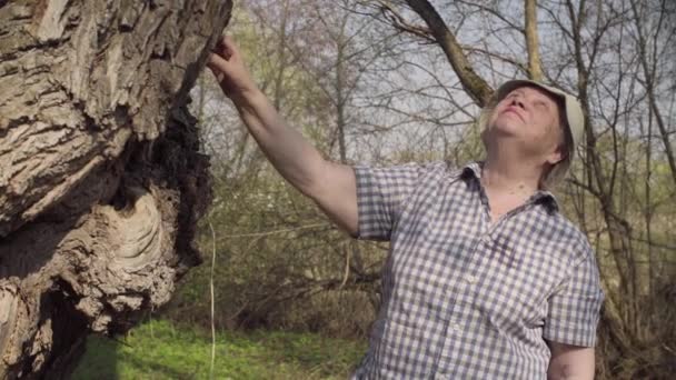 Mujer mayor acariciando un árbol grande . — Vídeos de Stock