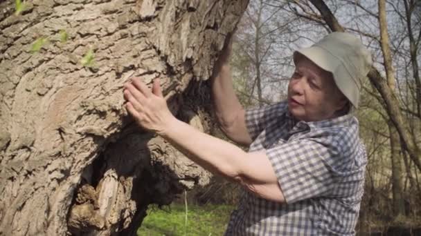 Пожилая женщина гладит большое дерево и разговаривает с ним — стоковое видео