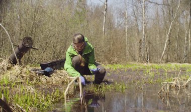 Ekolojist bitkilerden örnekler alıyor