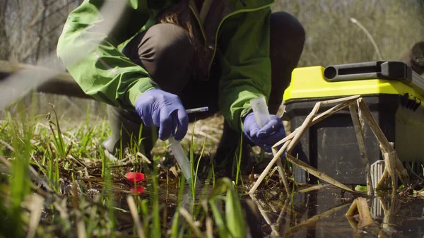 Bitkilerden numune alan ekolojistin elleri