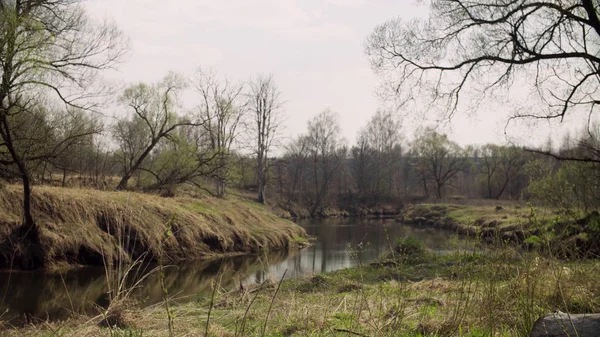 Lesní řeka na jaře — Stock fotografie