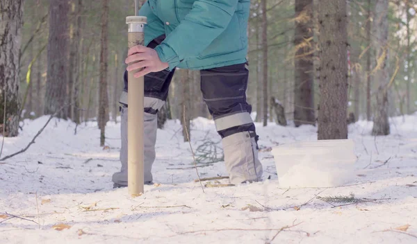 Ekolog otrzymuję próbki śniegu — Zdjęcie stockowe