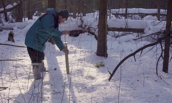 Ekolog otrzymuję próbki śniegu — Zdjęcie stockowe