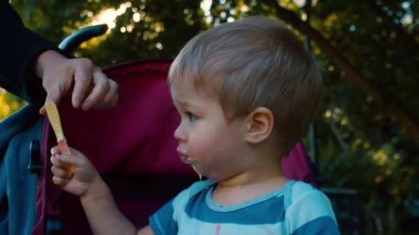 息子は彼のお母さんのアイスクリームの杖を与えます — ストック動画