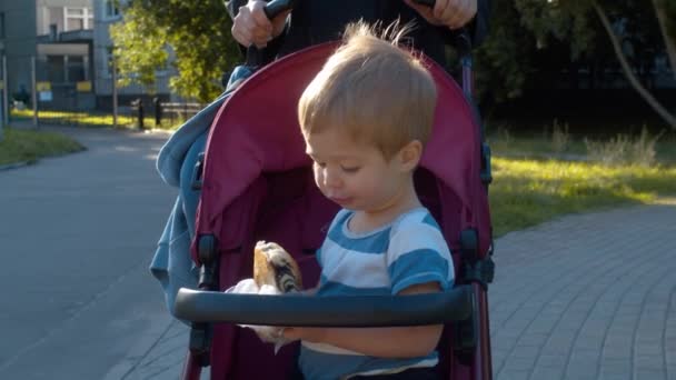 Kleiner Junge reitet im Kinderwagen und isst Brötchen — Stockvideo