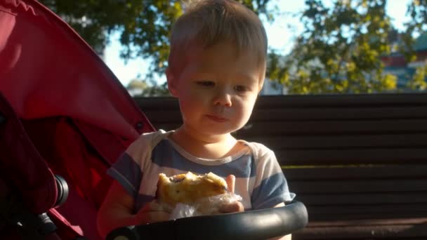 Niño pequeño sentado en un cochecito y comiendo bollo — Vídeos de Stock
