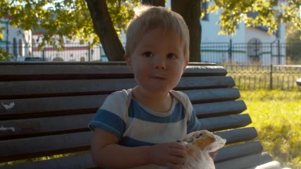 Pequeño niño sentado en un banco y comiendo pan — Vídeos de Stock