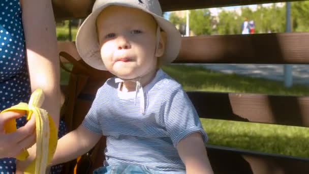 Baby eten banaan in het Park — Stockvideo