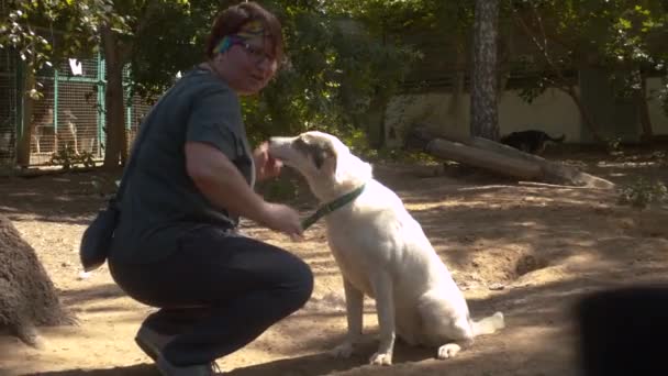 Bir köpek barınağında gönüllü — Stok video