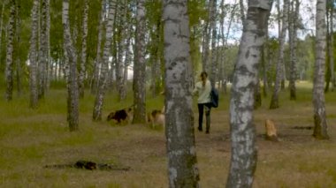İki kadın bir köpek ile yürümek gönüllü