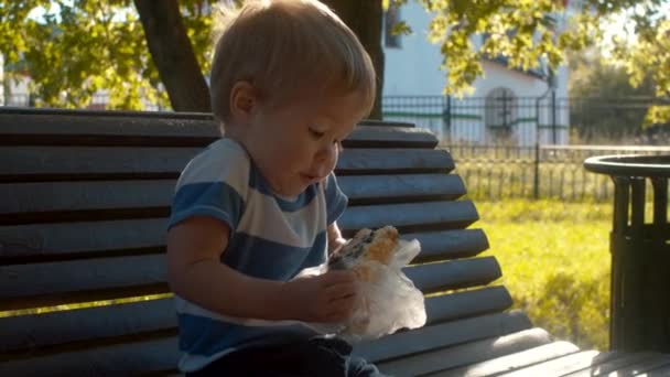 Baby chews a bun and wrinkles his nose — Stock Video