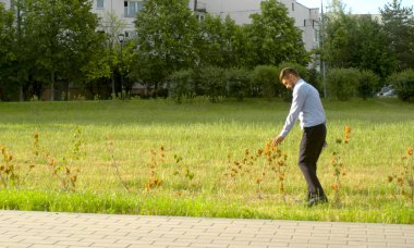 Halka açık parkta yanlış dikilmiş çalılar