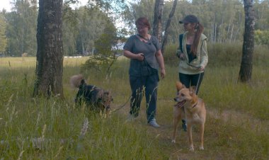 İki kadın gönüllüler köpekler ile yürüyüş