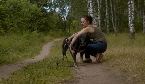 Kedves nő önkéntes simogatni a Mongrel kutya — Stock Fotó