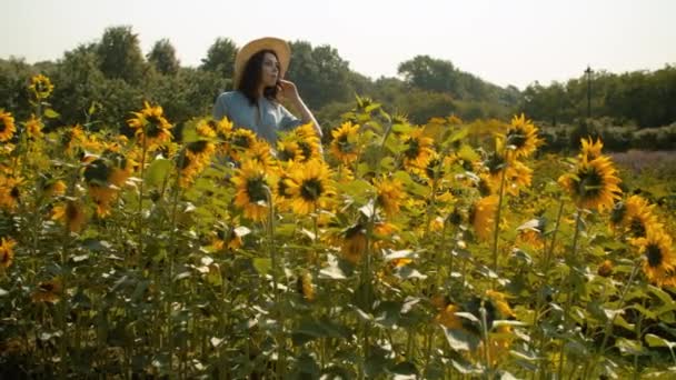 Junge Frau zwischen Sonnenblumen — Stockvideo