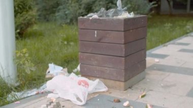 Korkunç Şehir Dustbin