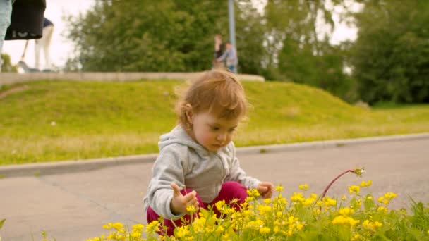 Kleines Mädchen spielt mit den Blumen — Stockvideo