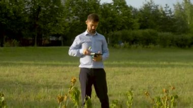 Yanlış dikilmiş sazlık çalılar