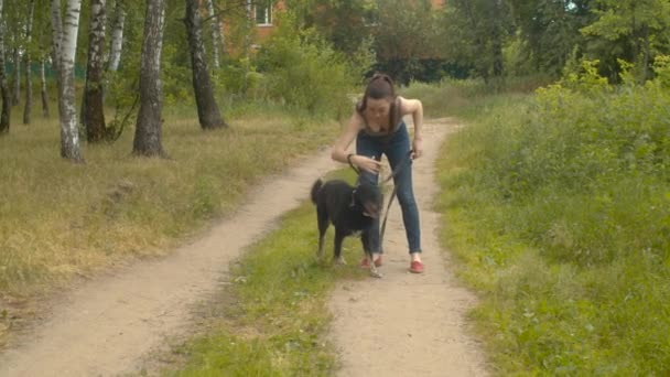 Frau hilft freiwillig mit Hund — Stockvideo