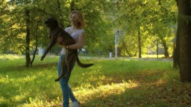 Genç kadın işleyici eğitim bir köpek