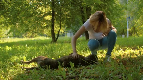 Kvinna leker med hunden i parken — Stockvideo