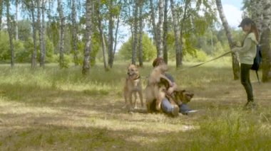 Kadın gönüllü köpeği okşuyor
