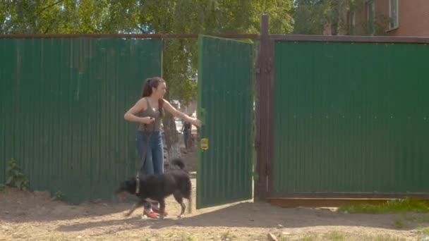 Woman volunteer going with a dog for a walk — Stock Video