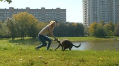Genç kadın köpek ile oynuyor