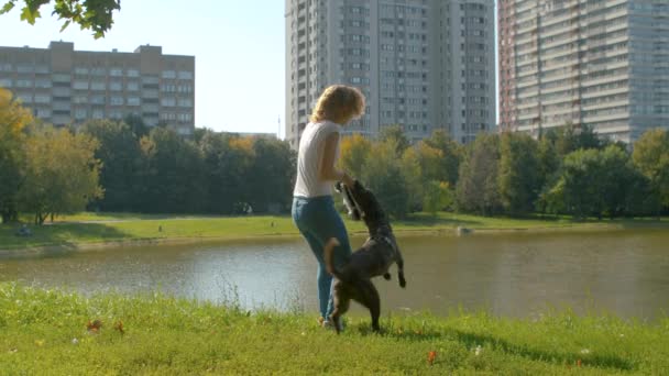 Молодая женщина играет с собакой — стоковое видео
