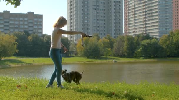 Young dogs trainer with a dog in a park — Stock Video