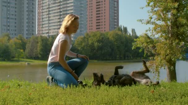 Mulher atraente com o cão no parque — Vídeo de Stock