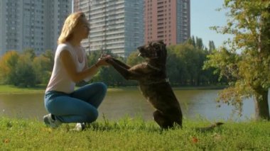 Köpek ve sahibi çimenlerin üzerinde oturuyor