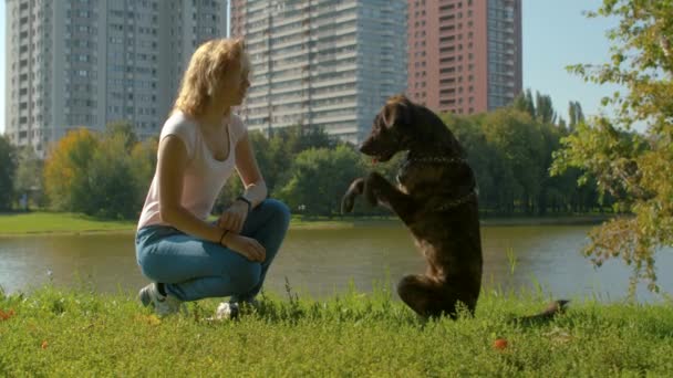 Ung kvinna leker med hunden — Stockvideo