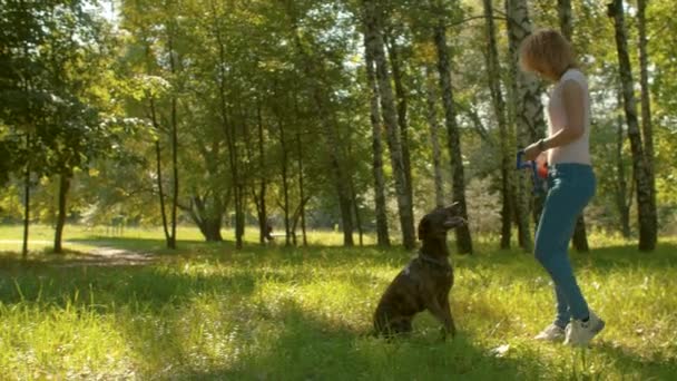 Νέος χειριστής σκύλων εκπαιδεύουν ένα σκυλί σε ένα πάρκο — Αρχείο Βίντεο
