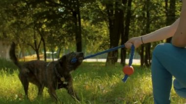 Genç kadın köpekle oynamayı