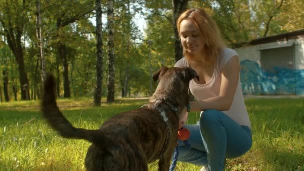 Entrenador de perros jóvenes en el parque con un perro — Vídeos de Stock