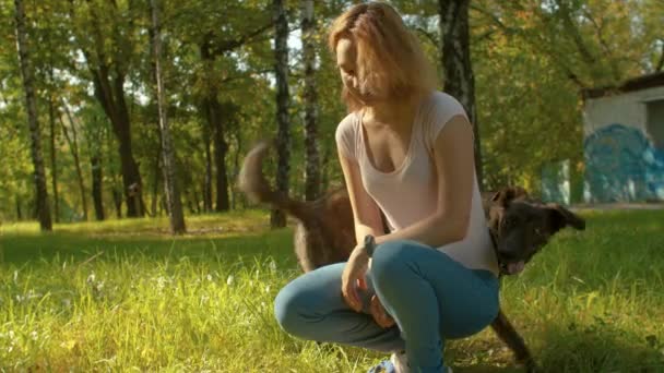 Молодой собаковод тренирует собаку в парке — стоковое видео