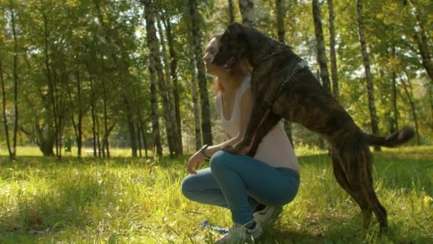 Собака и ее владелец сидят в парке — стоковое видео