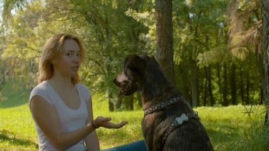 Çimenlerin üzerinde oturan köpek ve genç bayan