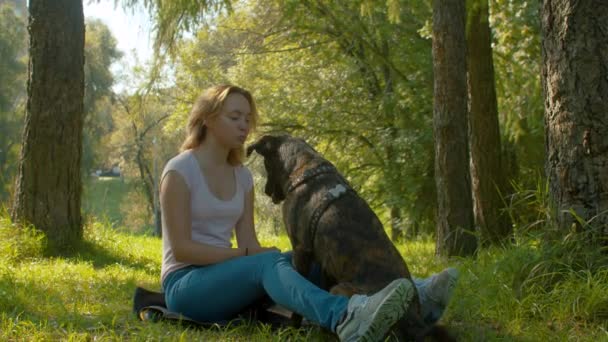 Hübsche Frau mit Hund im Park — Stockvideo