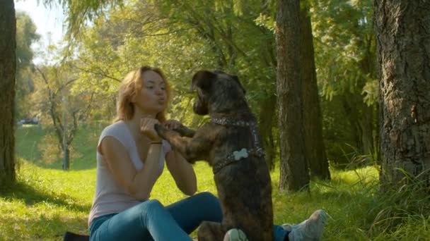 Cão e seu dono na grama — Vídeo de Stock