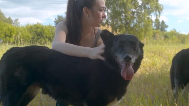 Mulheres voluntárias acariciam os cães — Vídeo de Stock