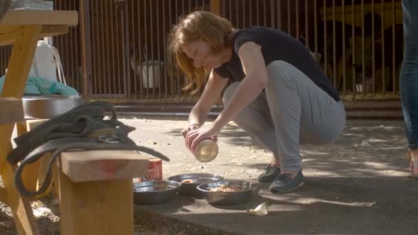 Женщина кладет собачий корм в миски — стоковое видео