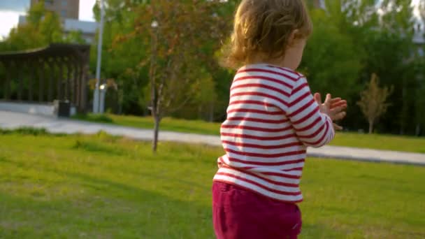 Little baby girl walking in the park — Stock Video