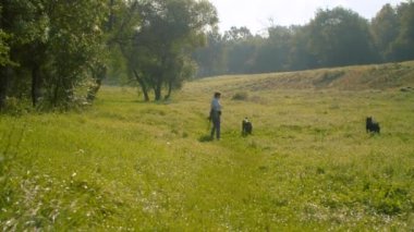 Parkta iki siyah köpekli kadın