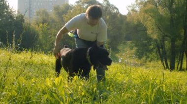 Kadın siyah boksör köpek okşayarak