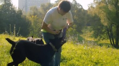 Siyah boksör köpek ile oynayan kadın