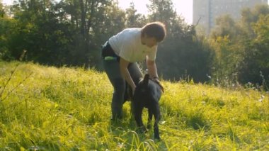 Kadın siyah boksör köpek okşayın